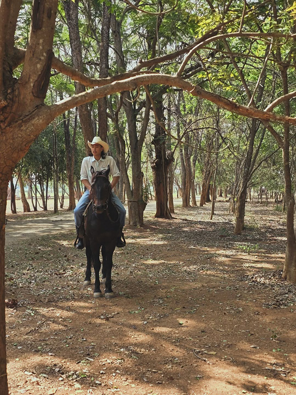 ปราบ บูลกุล