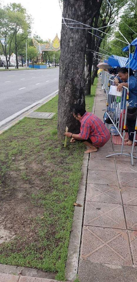 ปักตะไคร้