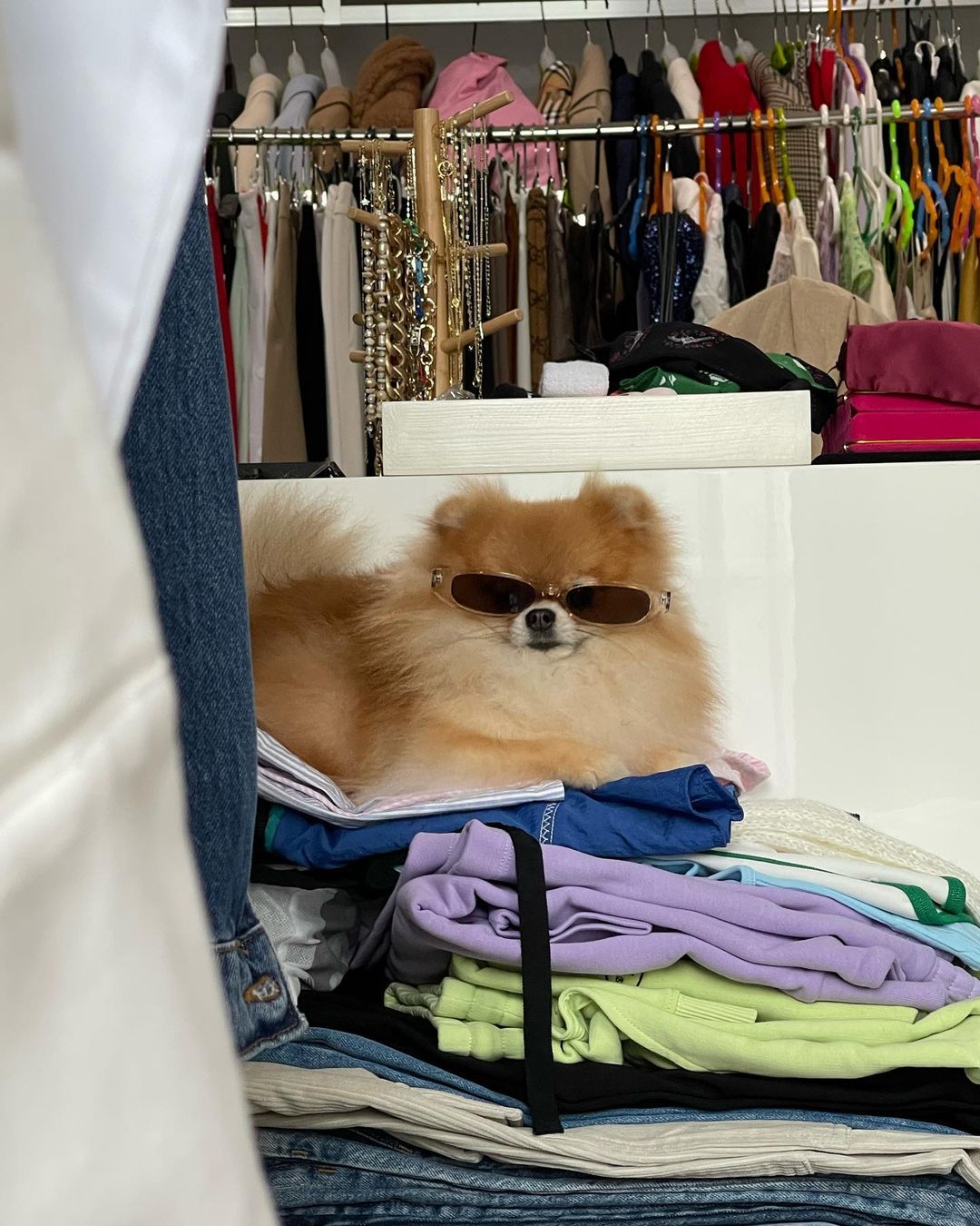 ใหม่ ดาวิกา