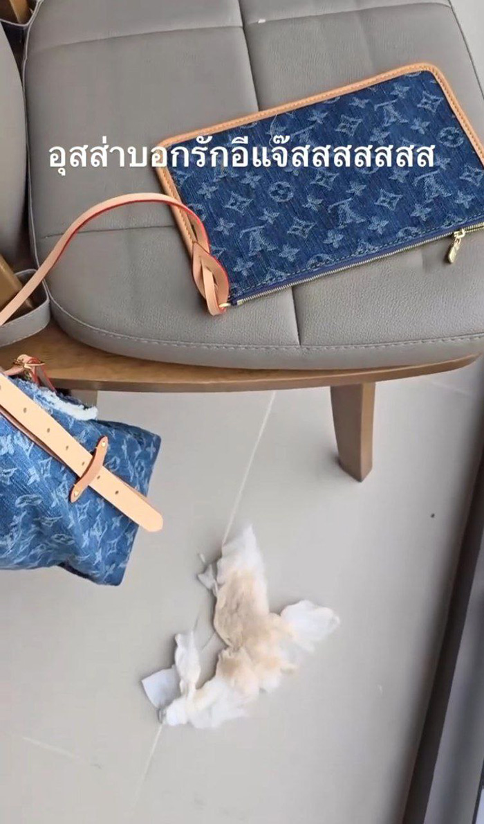 กระเป๋า หลุยส์ วิตตอง