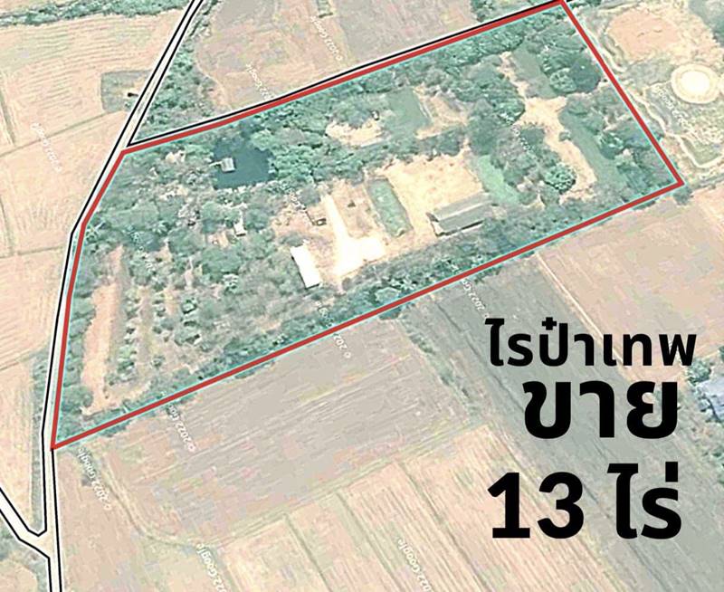 เทพ โพธิ์งาม 