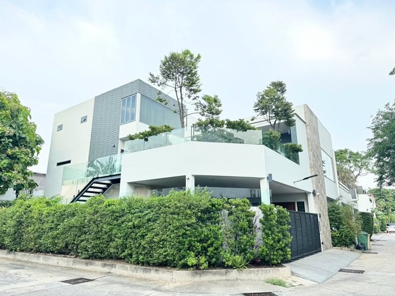 นานา ไรบีนา