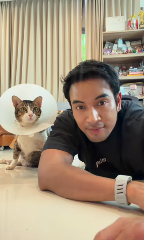 แมว เกรท วรินทร