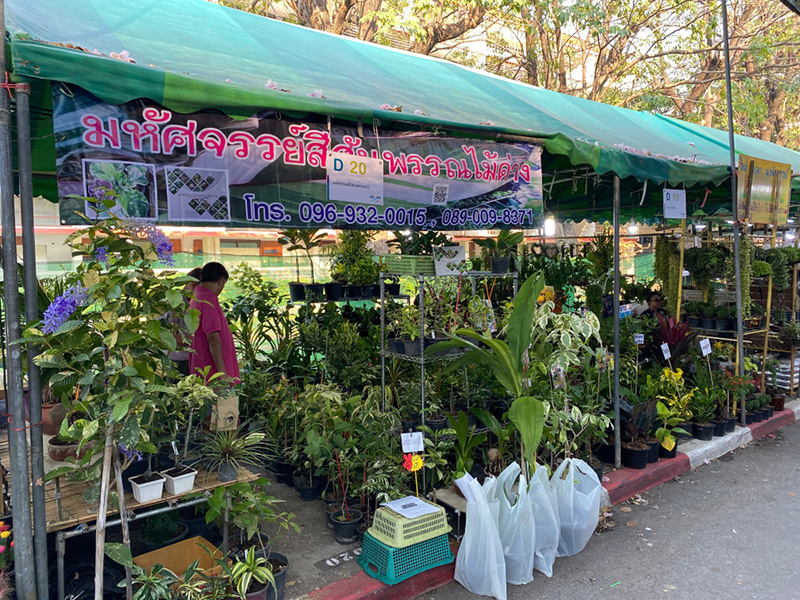 งานเกษตรแฟร์ 2569 บางเขน