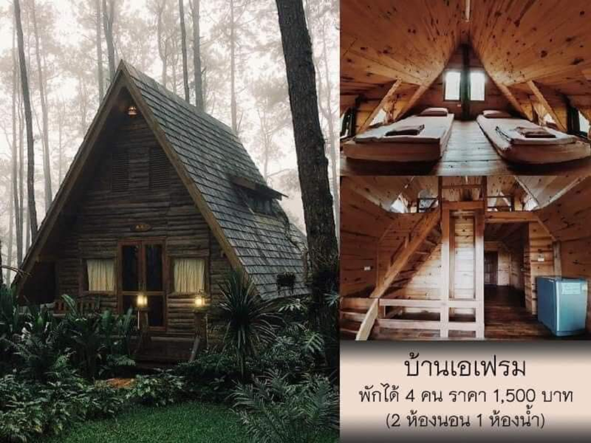 สวนป่าดอยบ่อหลวง เชียงใหม่
