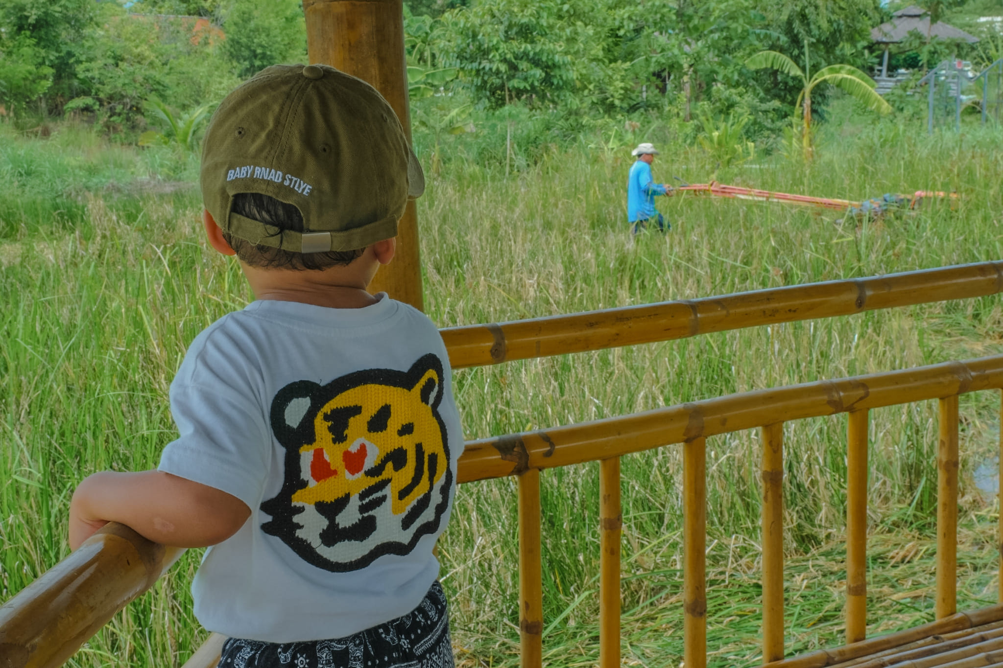 Wisdom King Farm