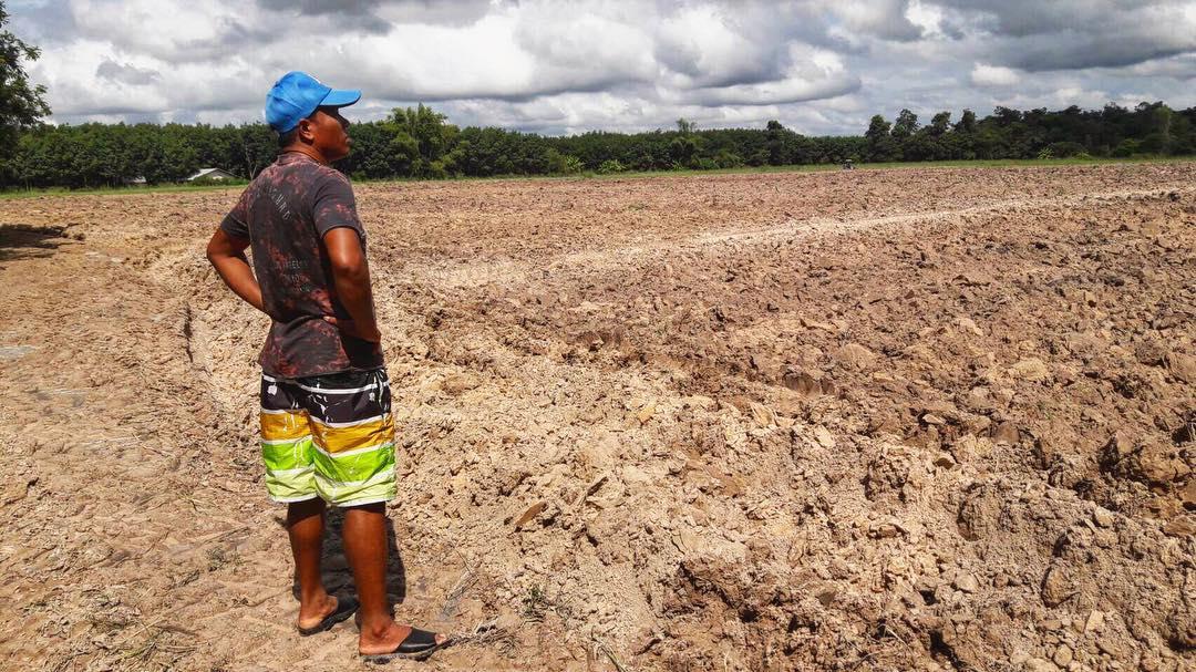 ไมค์ ภิรมย์พร