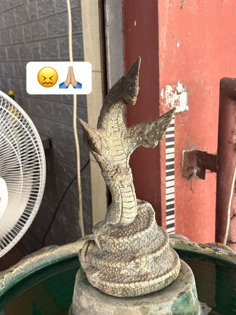 ตีนไก่