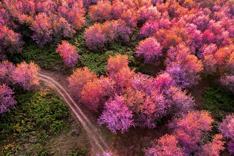 ภูลมโล จังหวัดเลย