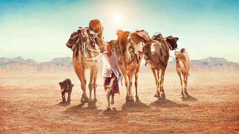 หนังฟีลเที่ยว สร้างแรงบันดาลใจ Tracks (2013)