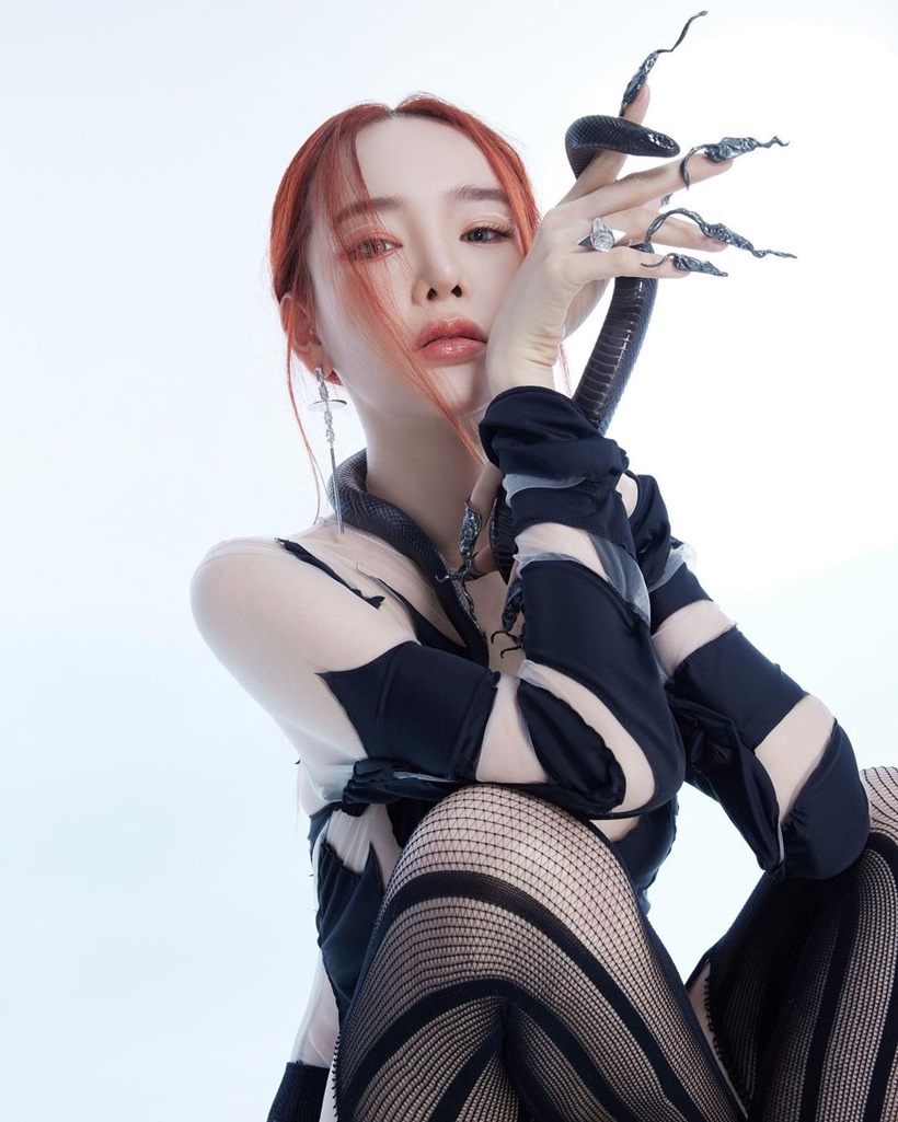 ปุ้มปุ้ย พรรณทิพา