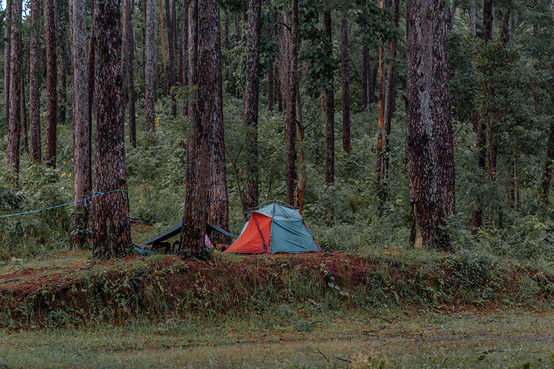 ดอยขุนตาล 2569 เปิดท่องเที่ยว