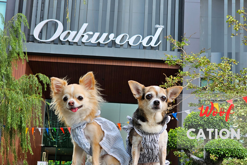 โรงแรม Oakwood Hotel and Residence Sri Racha