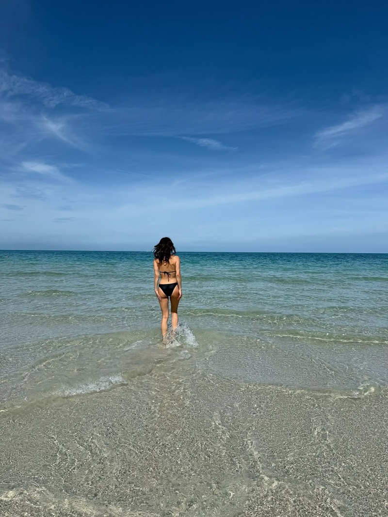 พอลล่า เทเลอร์