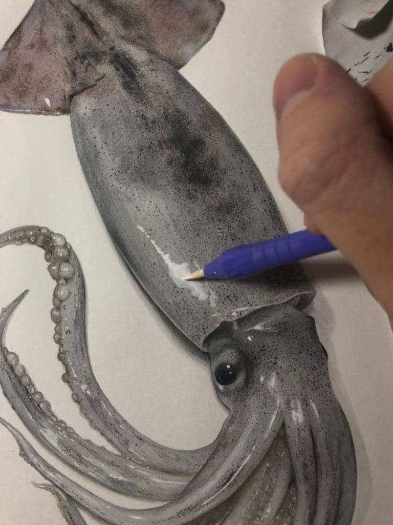 ปลาหมึก