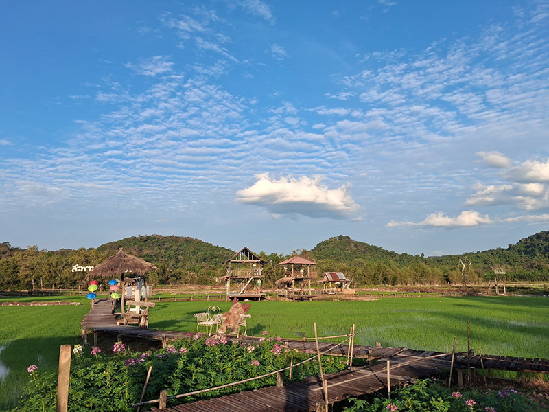 ที่เที่ยวเดือนมกราคม 2569 สะพานทุ่งนาน้อยเขาหล่น