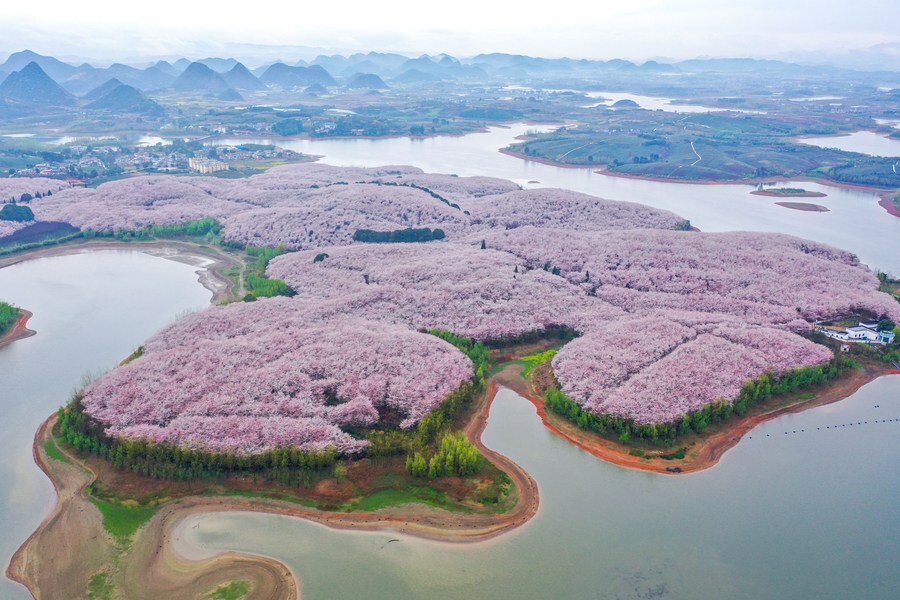 เกาะสีชมพู