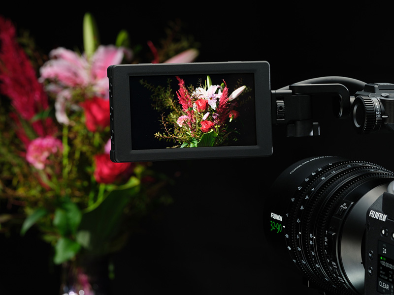 FUJIFILM GFX ETERNA 55