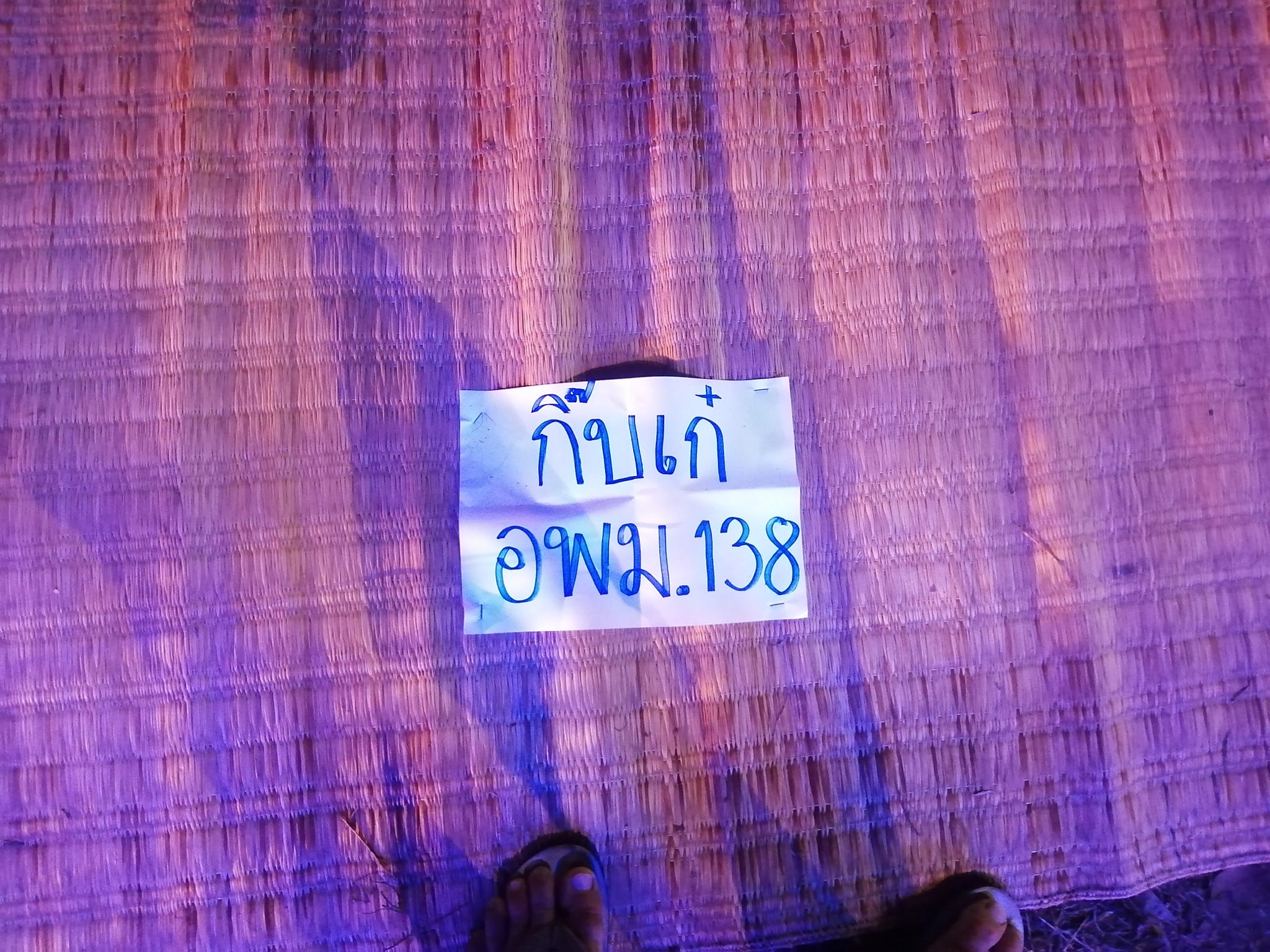 ปูเสื่อ