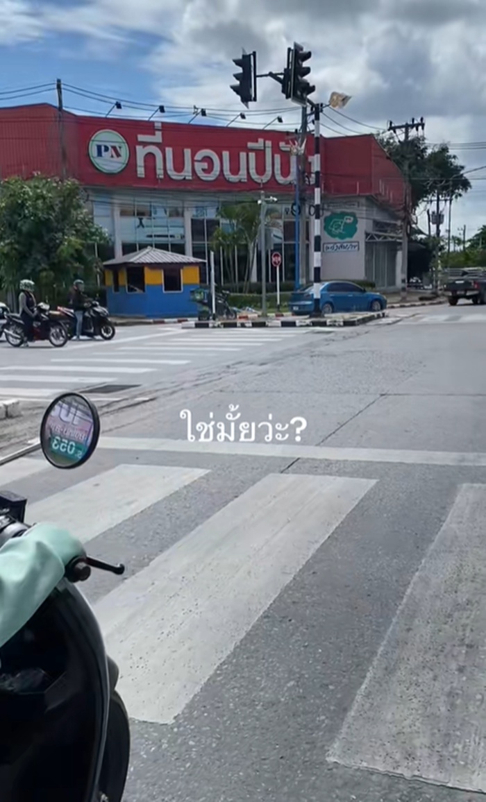 แมลงสาบ