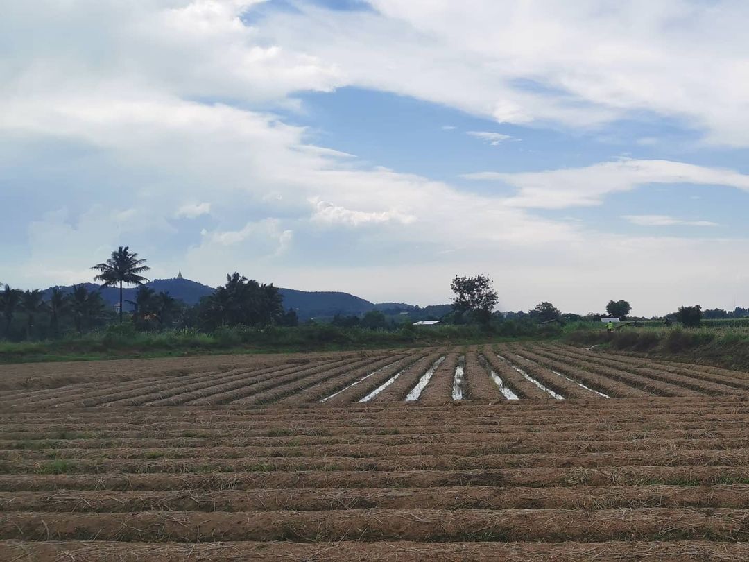 โจ๊กเกอร์ นพชัย