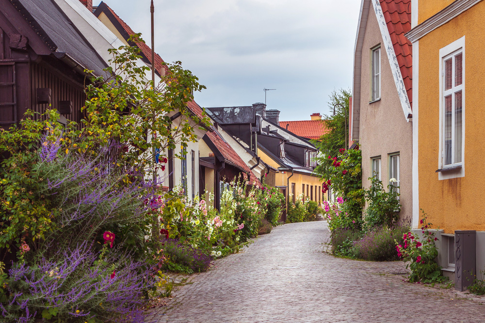 สแกนดิเนเวีย