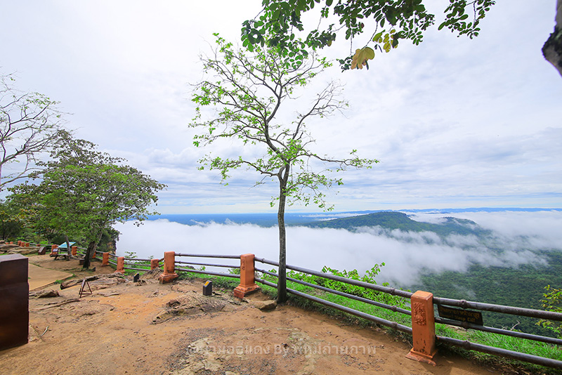จุดชมวิวผามออีแดง ศรีสะเกษ