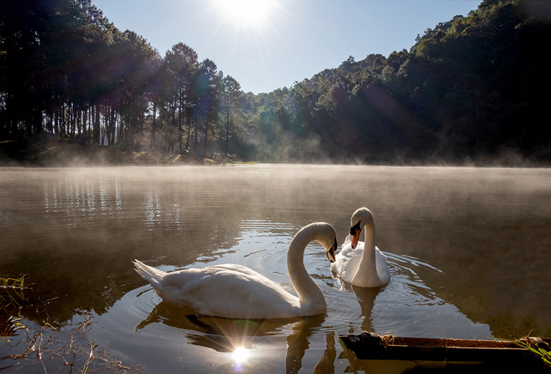 ที่เที่ยวเดือนกุมภาพันธ์ 66