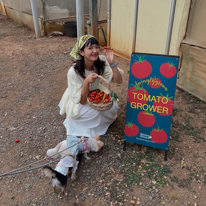 โฮมออฟฟิศ Pigkaploy