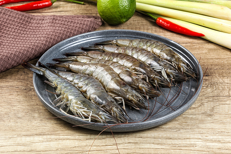 กุ้งมีกี่ชนิด