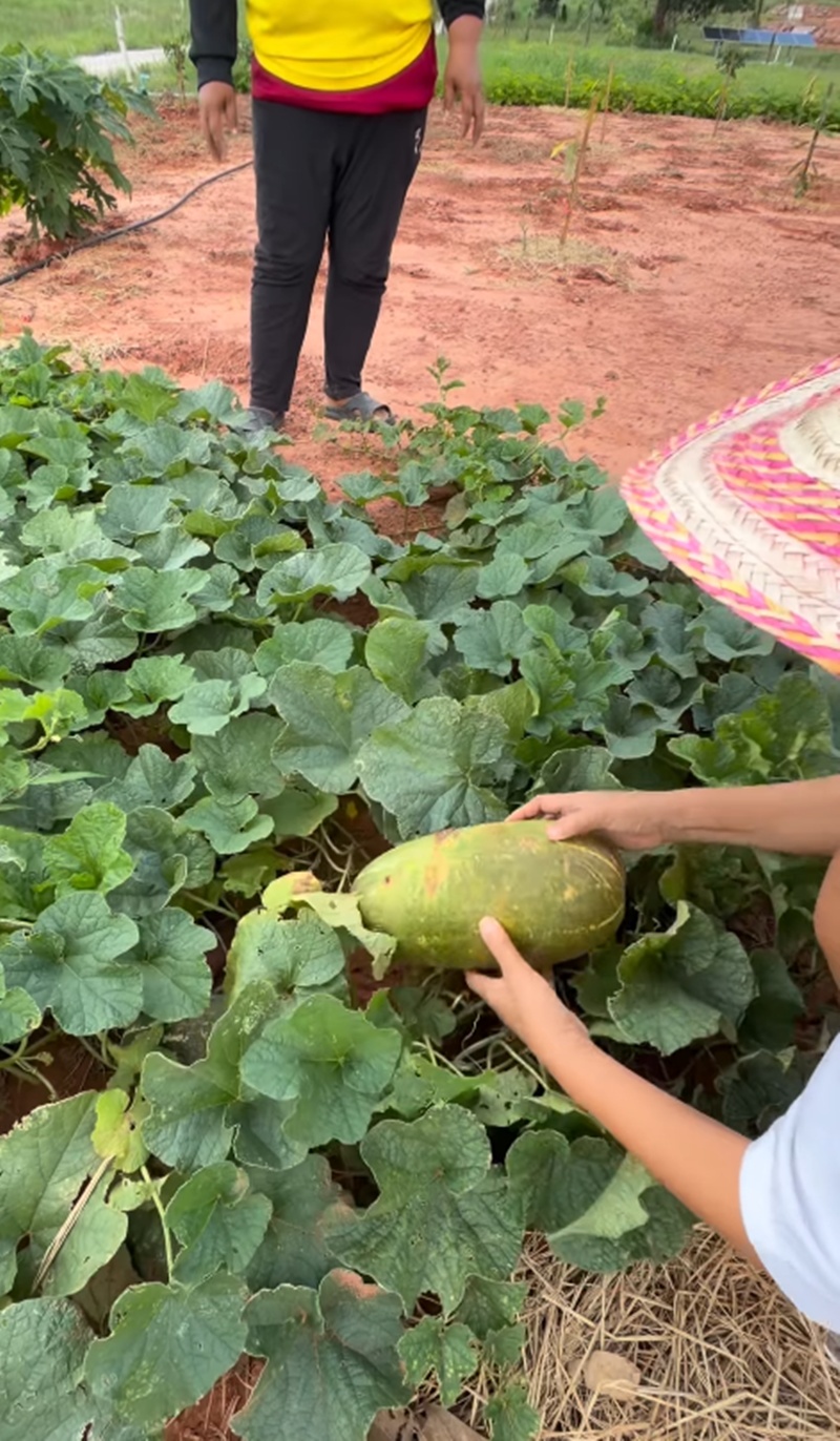 สุนารี ราชสีมา