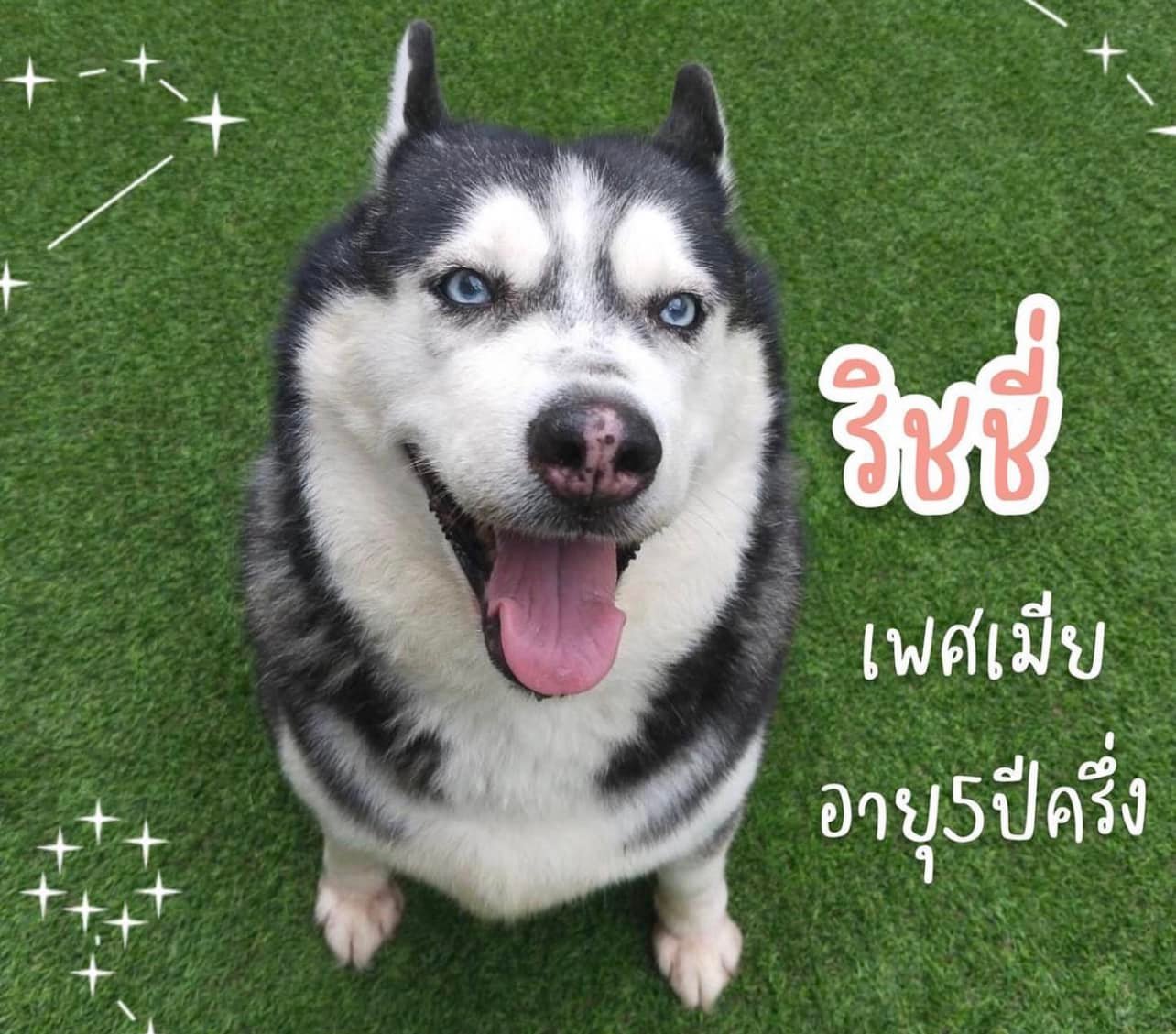 บูม หมูทะ