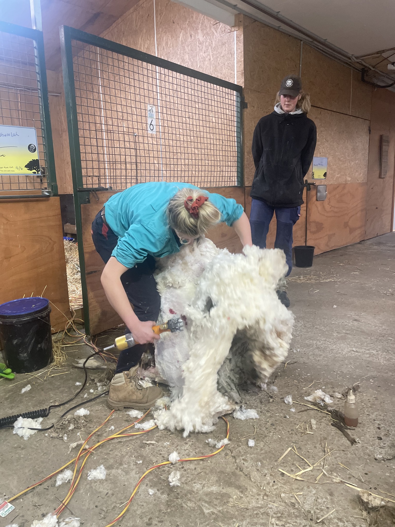 ก้อนหิน