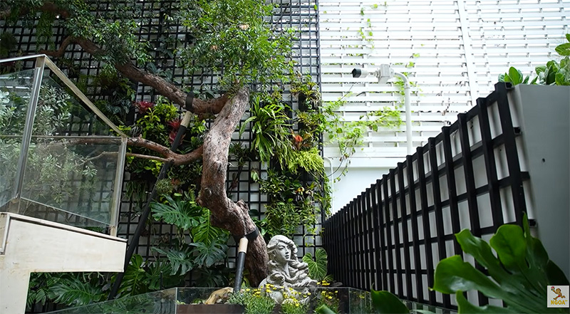 บ้านอนันดา