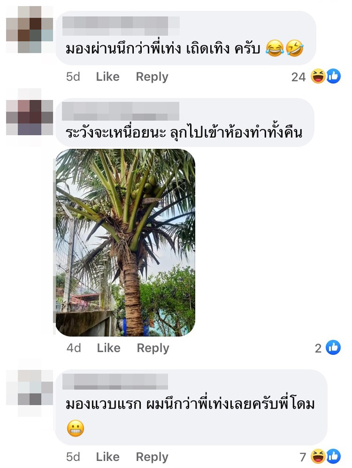 โดม ปกรณ์ ลัม