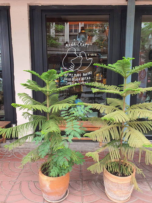 ร้านกาแฟ