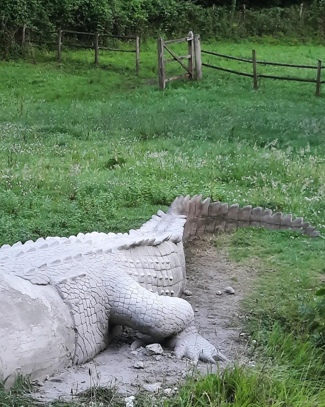 จระเข้ยักษ์