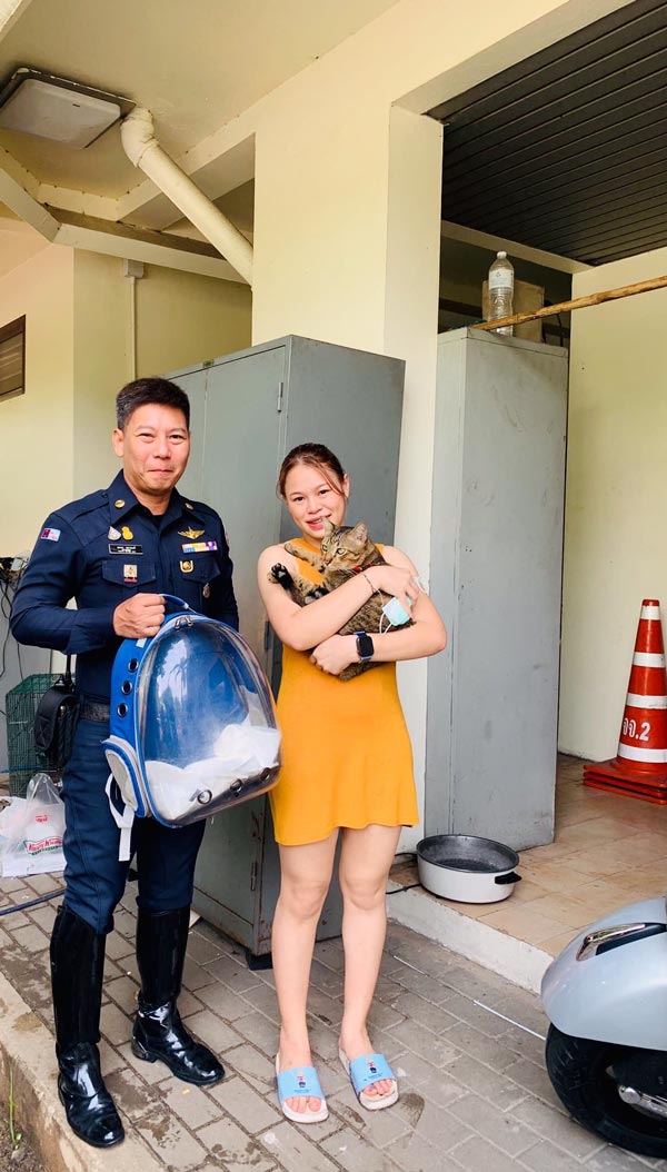 เจ้าหมูทะ แมวหลงบนทางด่วน