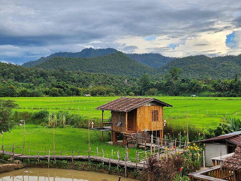 Baan Nok Hook Kwai Mueang Khong