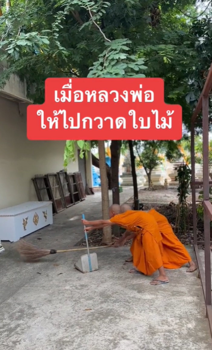 กวาดใบไม้