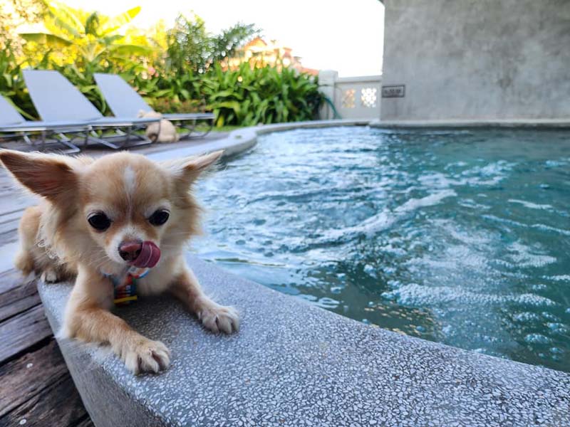 Anantasila Villa By The Sea