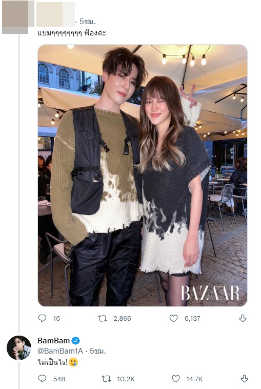 ใบเฟิร์น 