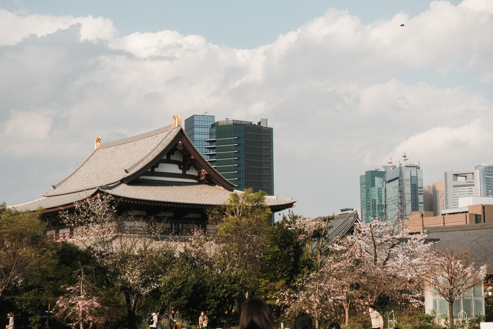 เที่ยวญี่ปุ่น, Tokyo Tower