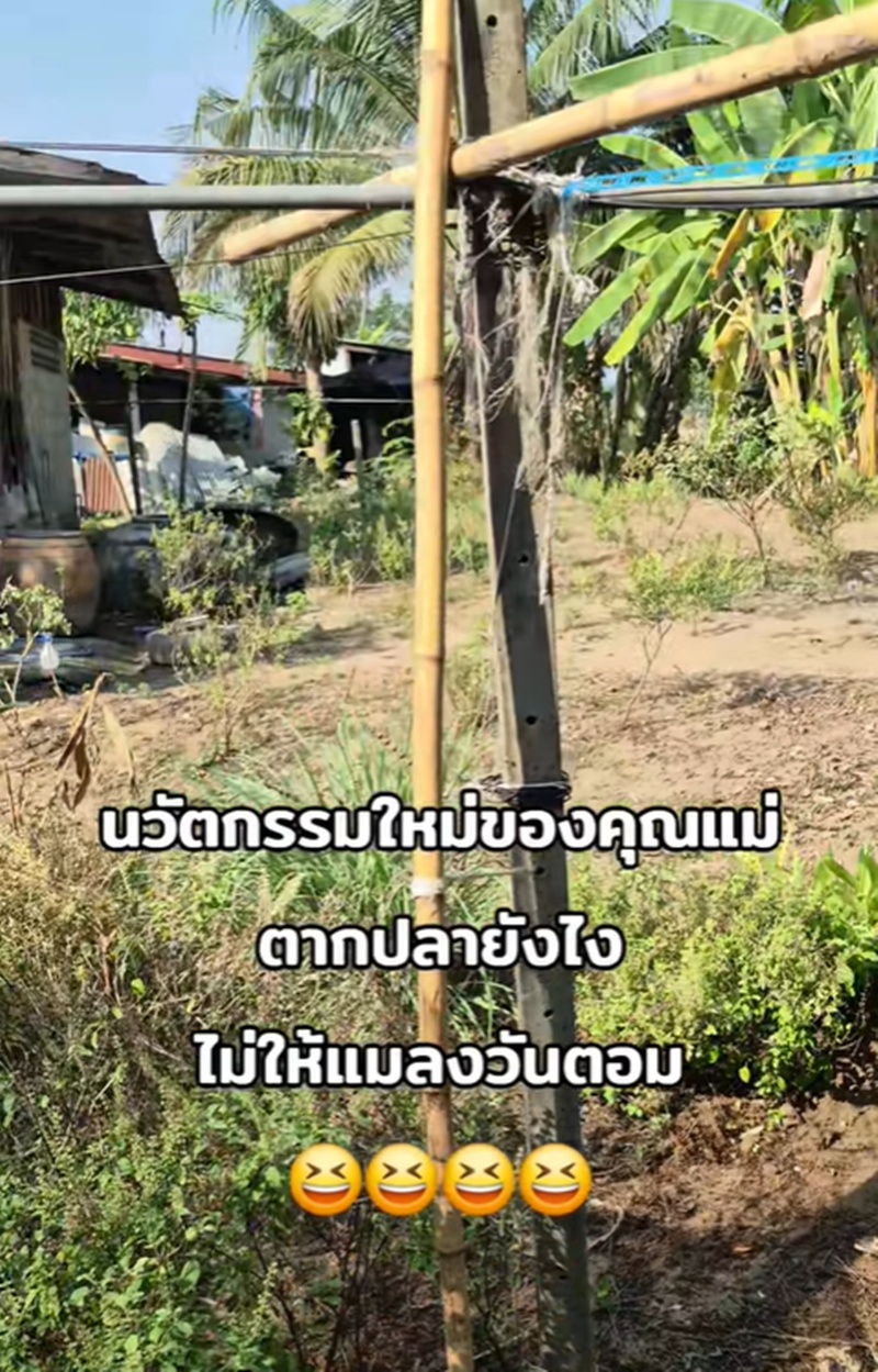 ที่ตากปลา