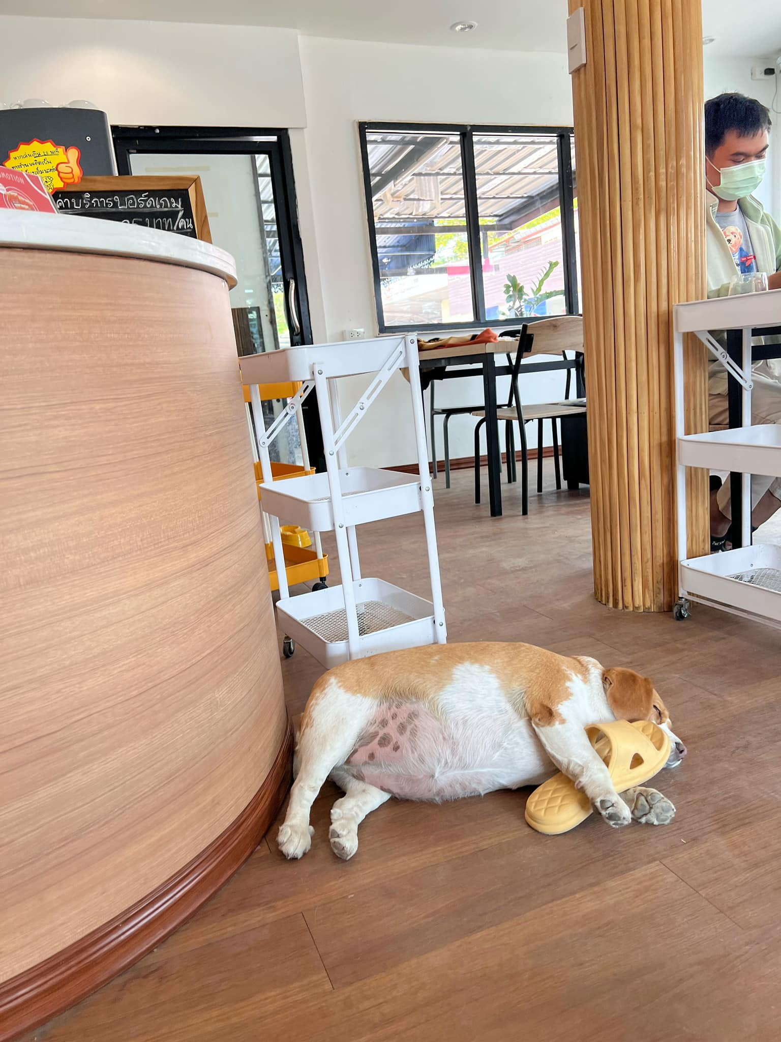 รองเท้าหาย