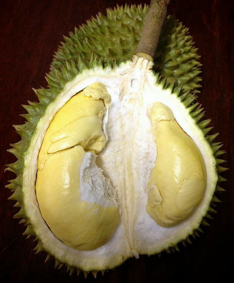 ทุเรียนปราจีนบุรี 2563