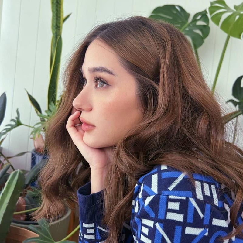 วี วิโอเลต