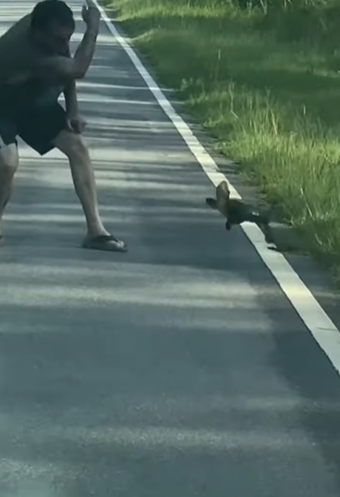 ช่วยเต่า