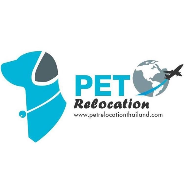 รถรับส่งสัตว์เลี้ยง Pet Relocation Thailand