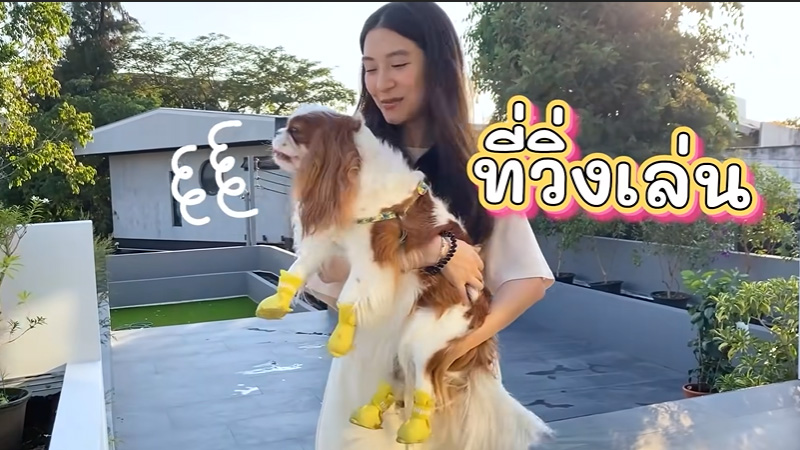บ้านใหม่ มิว นิษฐา